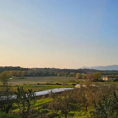 Apartment Il Tinaio *